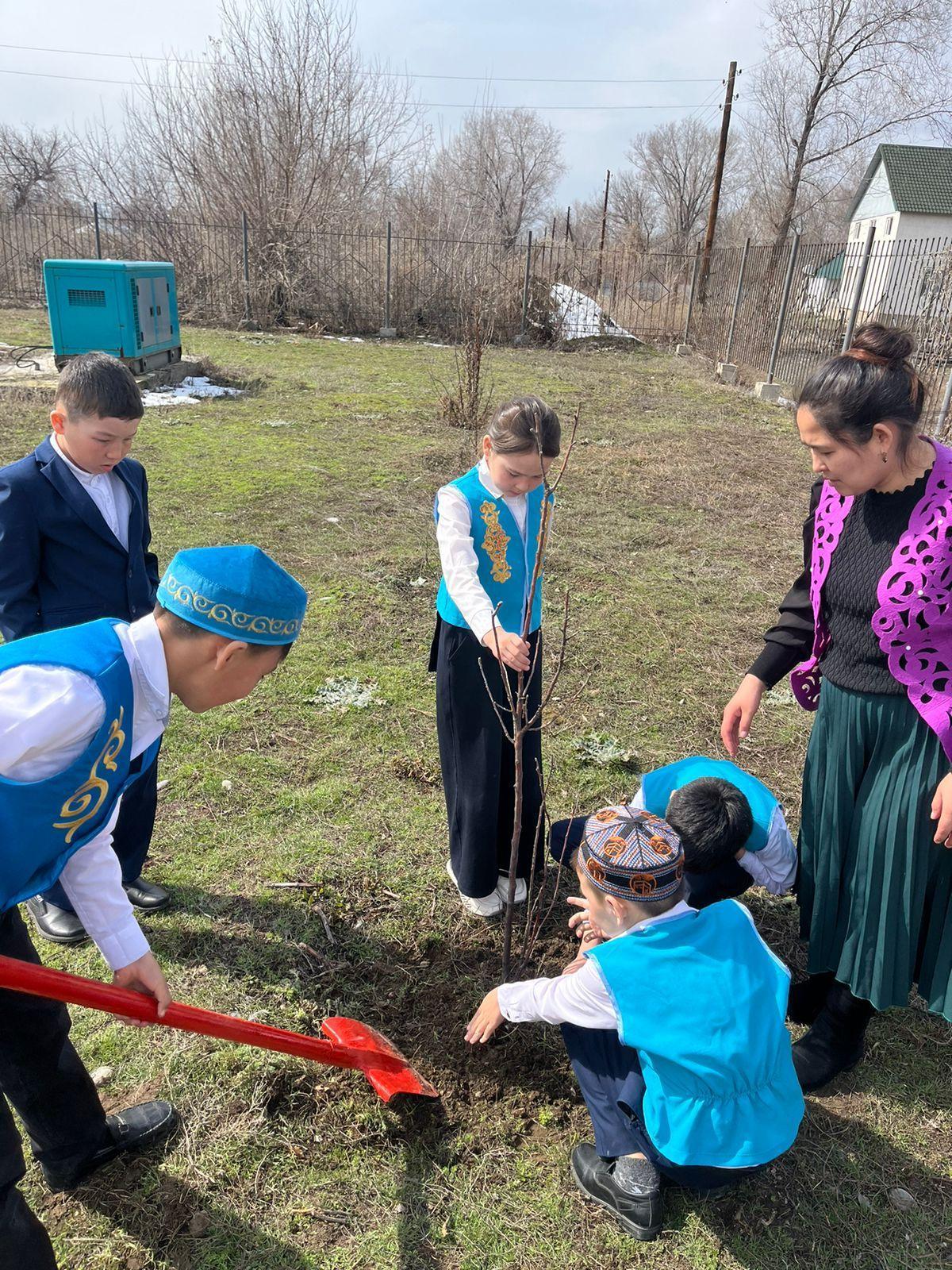 19 Наурыз - Жаңару күні Тарас негізгі  орта мектебінің оқушылары “Атаңнан мал қалғанша, тал қалсын” жобасы аясында ағашы отырғызылды.