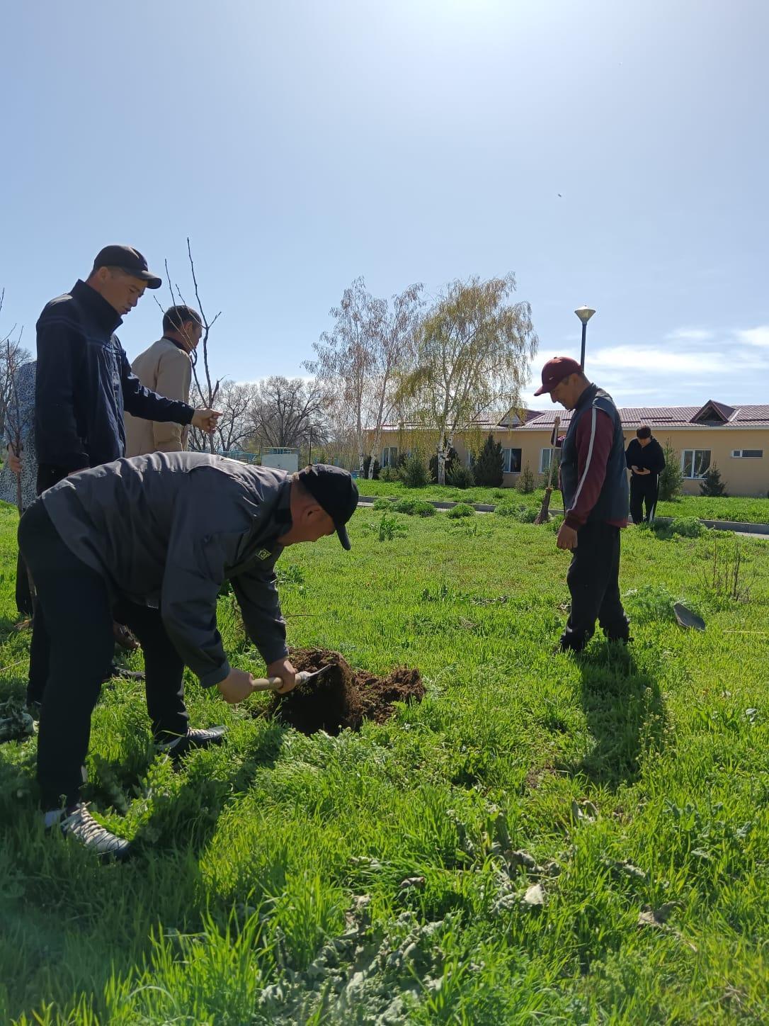 Тарас негізгі орта мектебі бойынша "Таза Қазақстан" республикалық экологиялық акциясы бойынша мектеп қызметкерлері сенбілік жұмыстарын атқарып, ағаш көшеттерін отырғызды.