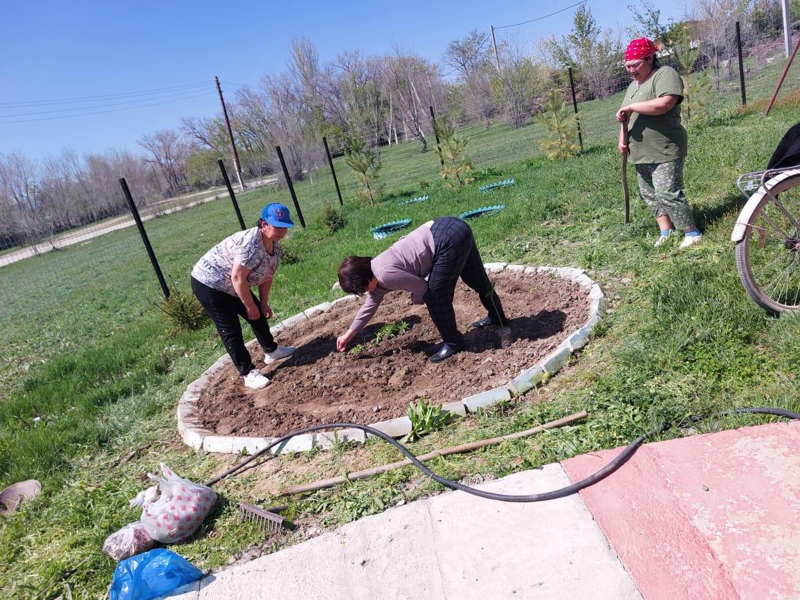 Республикалық «Таза Қазақстан» экологиялық акциясының «Жасыл аймақ» апталығы бастау алды. Осыған орай Тарас ауылының медициналық пунктінің ауласына  гүл көшеттері отырғызылды.